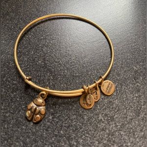 Alex and Ani bracelet